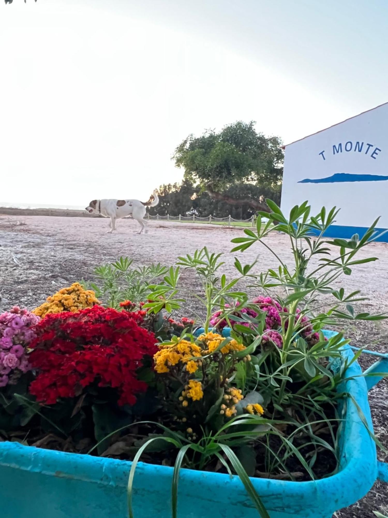 Villa T Monte à Porto Covo Extérieur photo